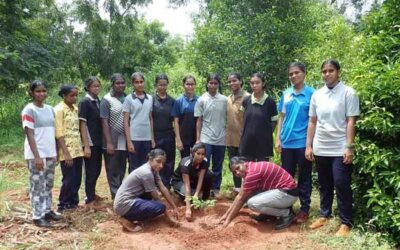 Conservation of the Tropical Dry Evergreen Forest of South India